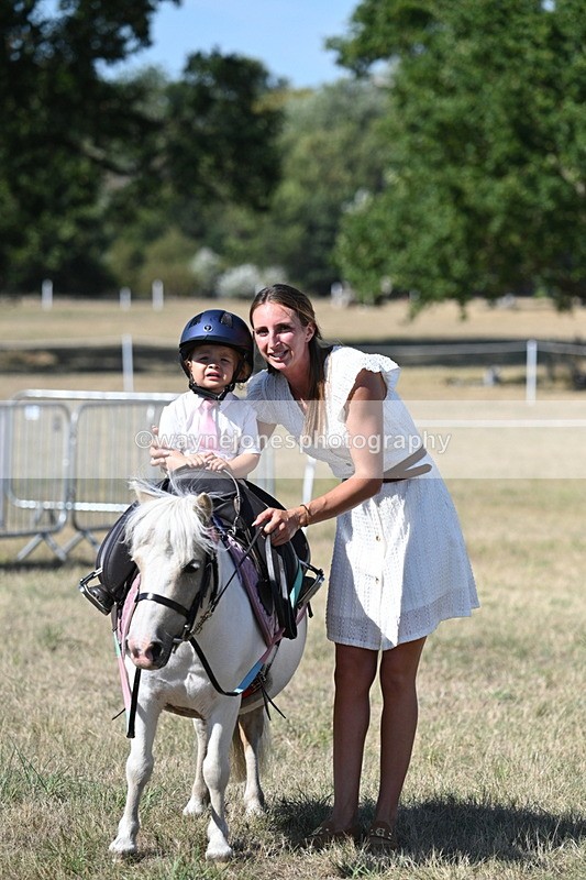 WJ7_1389 - Class 41 Prettiest Mare