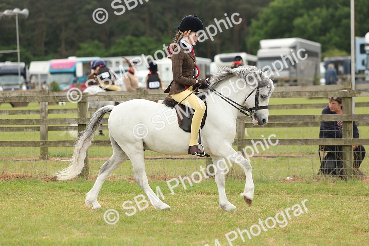SBM_07150 - Class 76-77 - Ridden M&M Welsh Ponies
