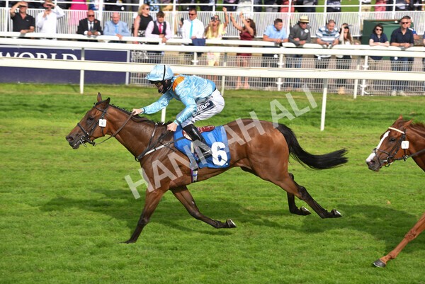 yr09072021r7-23 - Race 7 5.30pm William Hill Extra Place Races Stakes