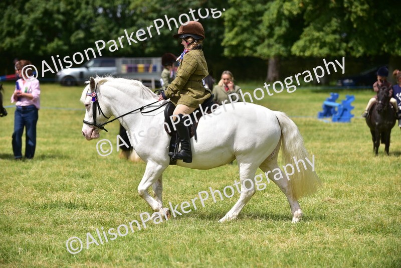 20260614-3658 - Class 15 - Prettiest Mare