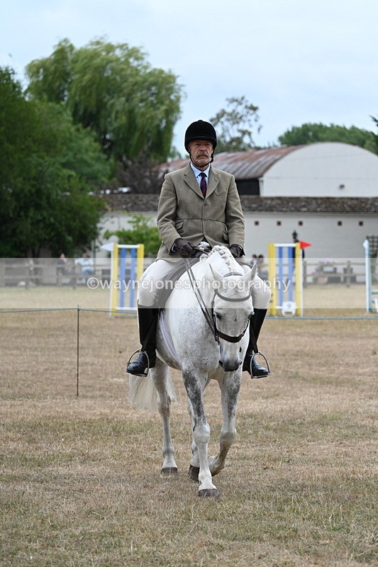 WJ7_0770 - Class 7 Riding Club Show Horse