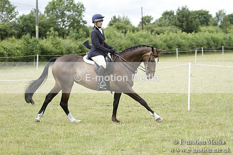 BVR160717-2287 - Working Hunter Championship 16/07/17