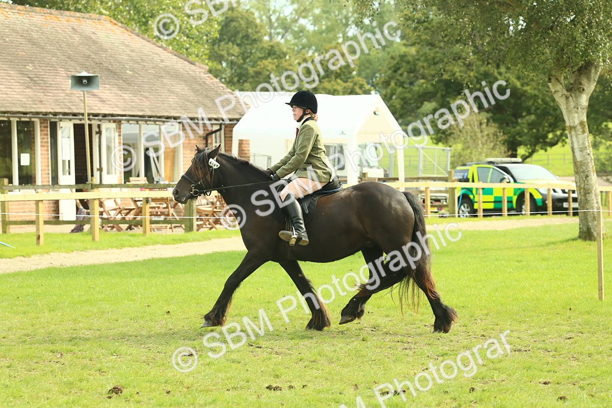 SBM_69350 - S58 - Mini Show Cob Ridden