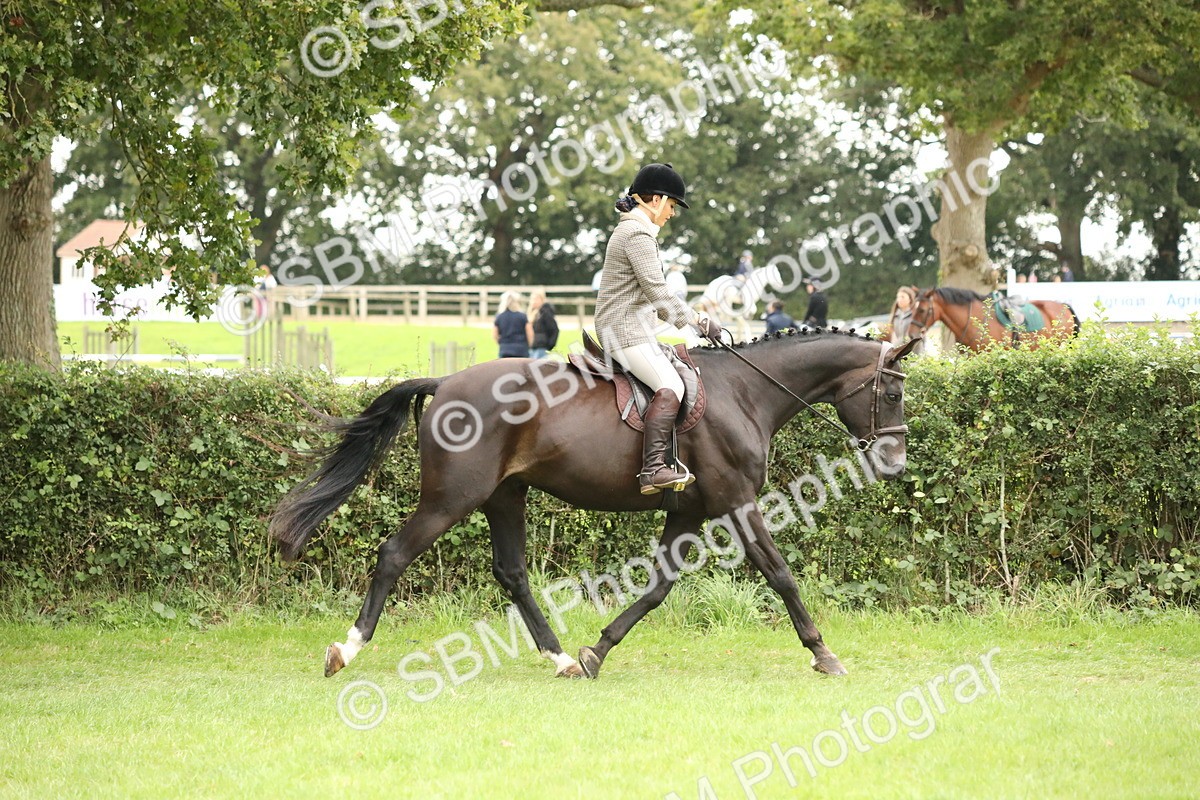SBM_73679 - S41 - Ridden Equitation (Best Rider)