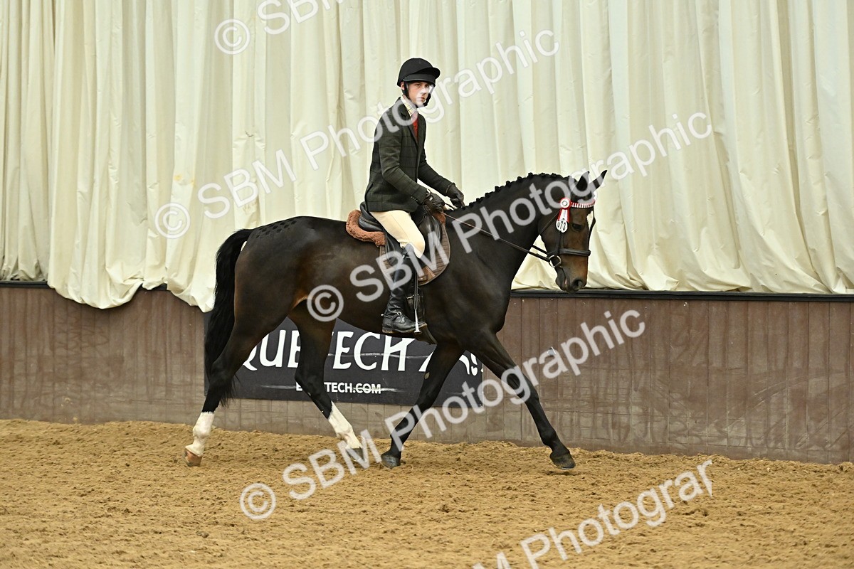 SBM_002052 - Class 23 - BSHA Ridden Show Hunter