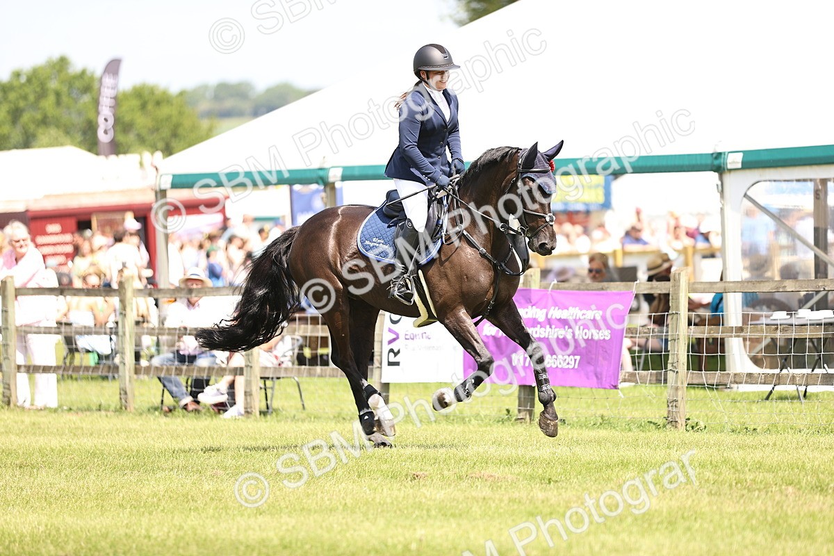 SBM_04091 - Class 201 - British Horse Feedds Speedi Beet HOYS Grade C