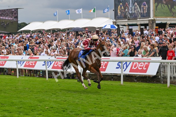 270724-Race 2-Rage Of Bamby-6815 - Race 2 2.40pm Sky Bet Dash Handicap