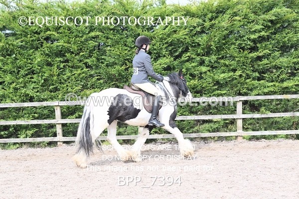 BPP_7394 - RING 1  (RIDDEN HORSES / IN HAND / VETERAN ETC)