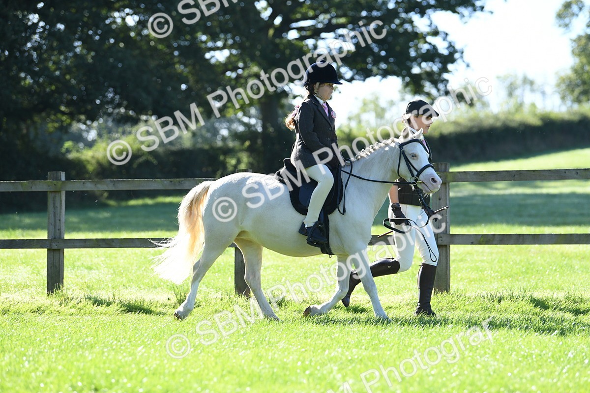 SBM_36783 - S18 - Novice & Newcomers Lead Rein Pony
