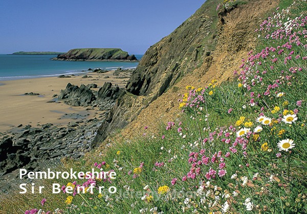 F09 - Fridge magnets