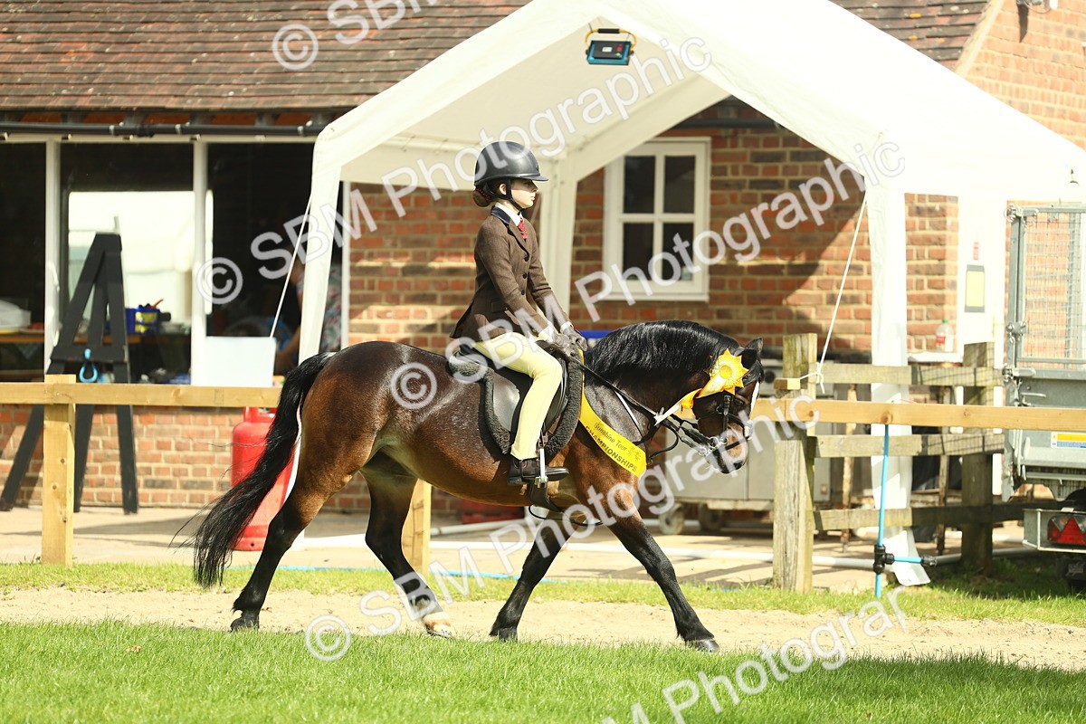 SBM_44914 - Working Hunter Pony Supreme Championship