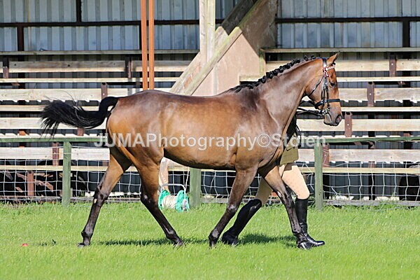 SIAL5726 - Ring 1 & 3