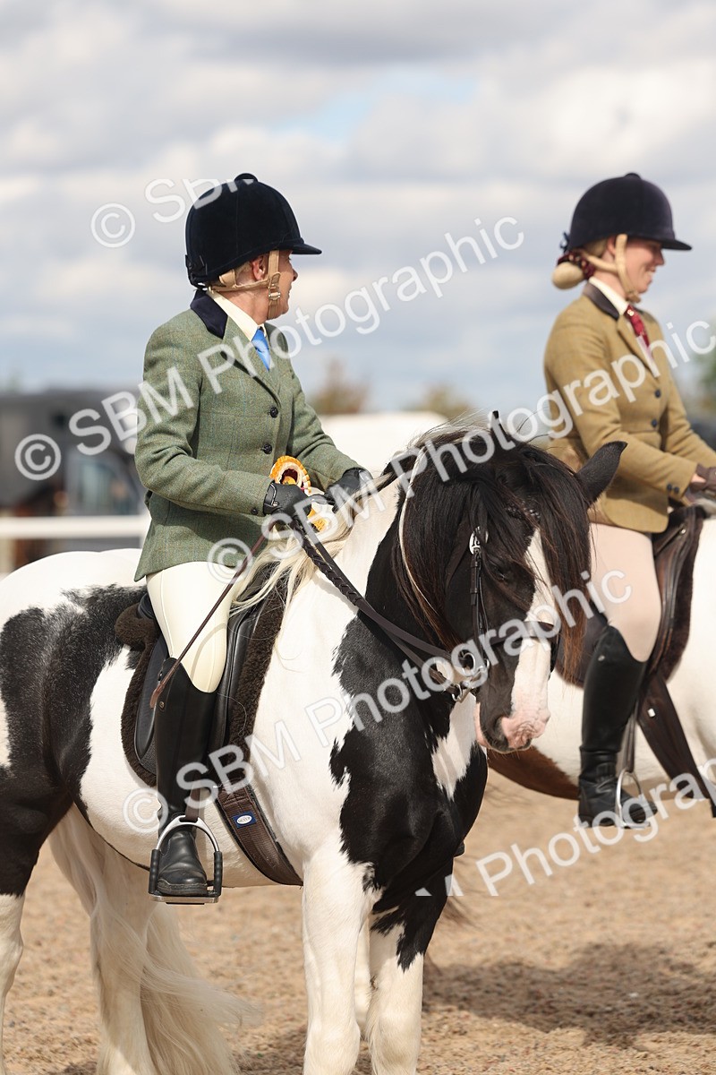 SBM_14694 - Class 307 - Ridden Coloured Pony