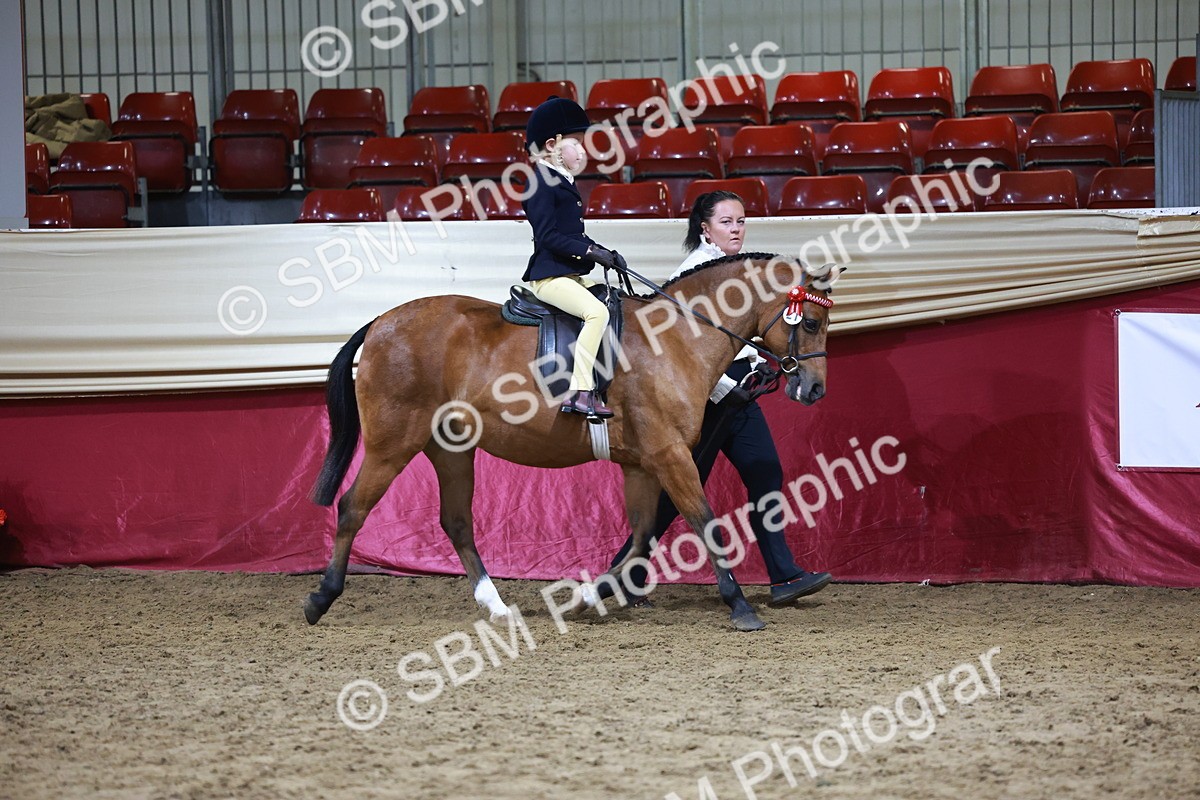 SBM_20328 - Class E - Best Turned Out Champ