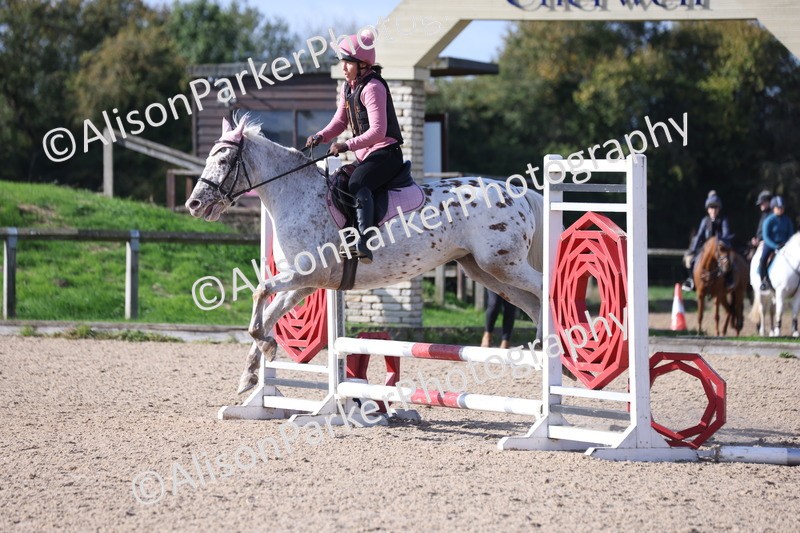 20251005-0264 - Class 3 - 60cm