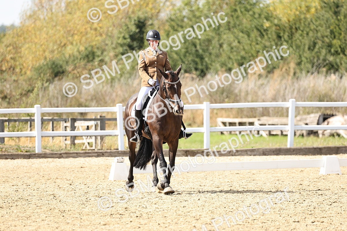 SBM_014886 - Class 7 - Medium 3