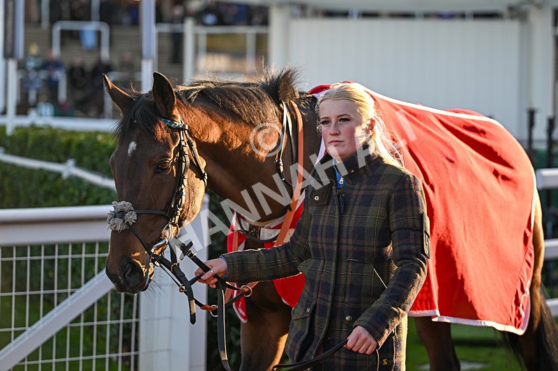 251025-Race 7-Antarctic Legend-0177 - Race 7