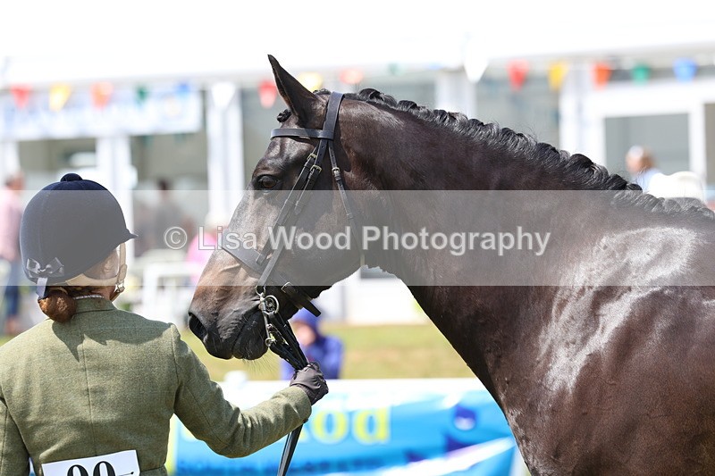 3E7A1649 - Class 9: Open Hunter