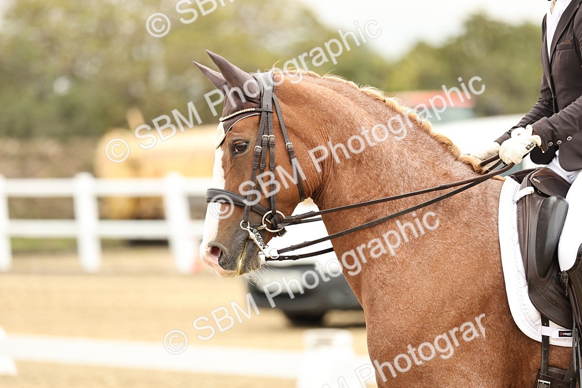 SBM_006534 - Class 21 - Medium 5 Bronze - 9.08-9.48