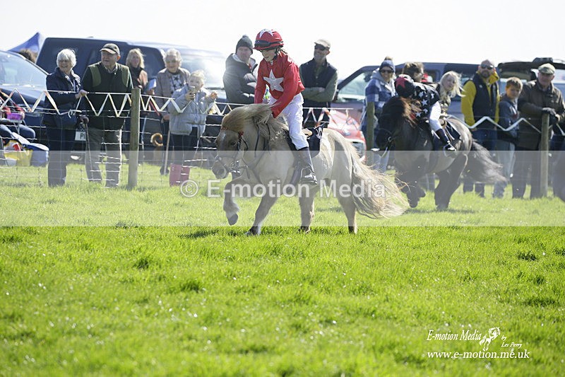 PtP 190322 81 - Wilton Hunt PtP Milborne St Andrew 19/03/22