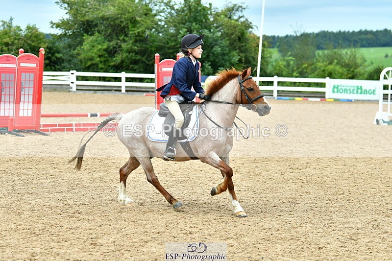 230804A-115959-02422 - Showjumping Competition