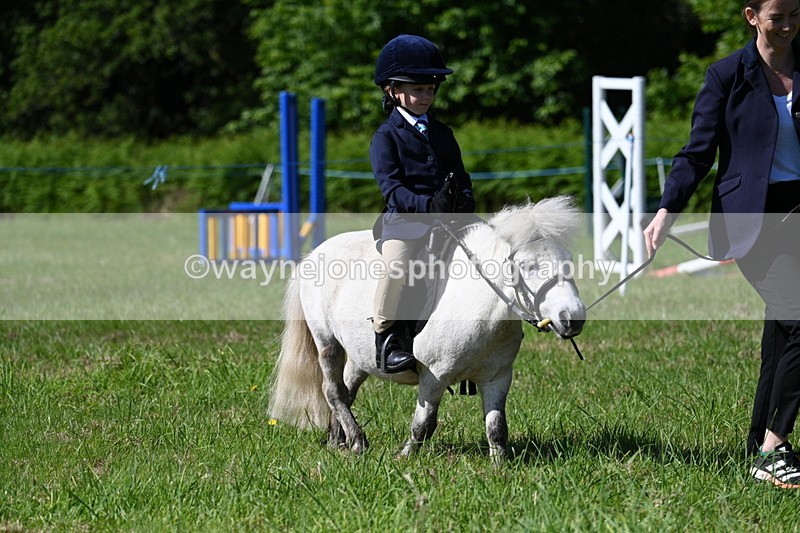 WJ7_0557 - Class 8 First Rally Pony