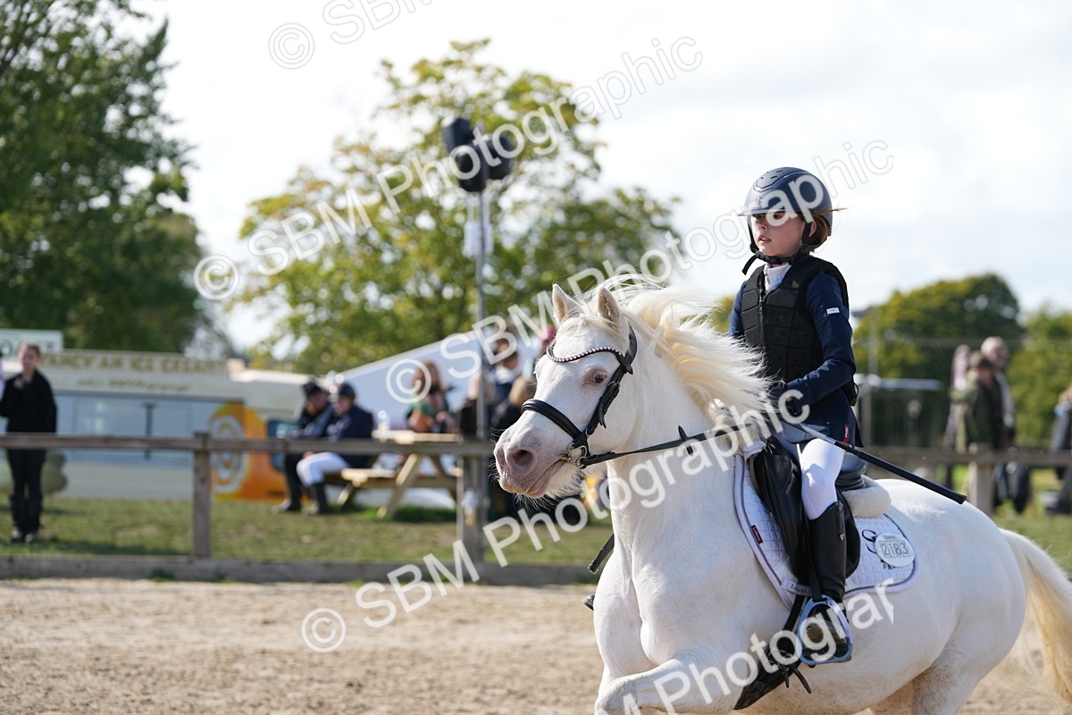 SBM_46544 - J7 - Junior Pony 60cm Championship