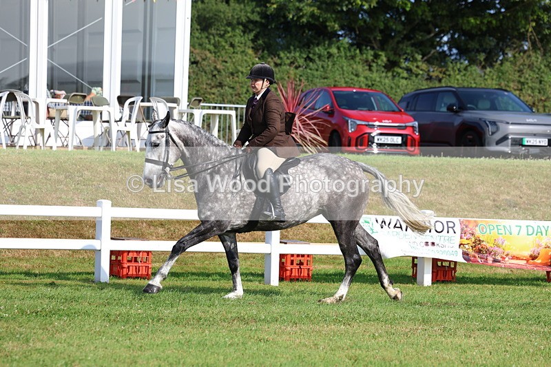 3E7A8619 - Class 3: Rising Star S/L Hunter