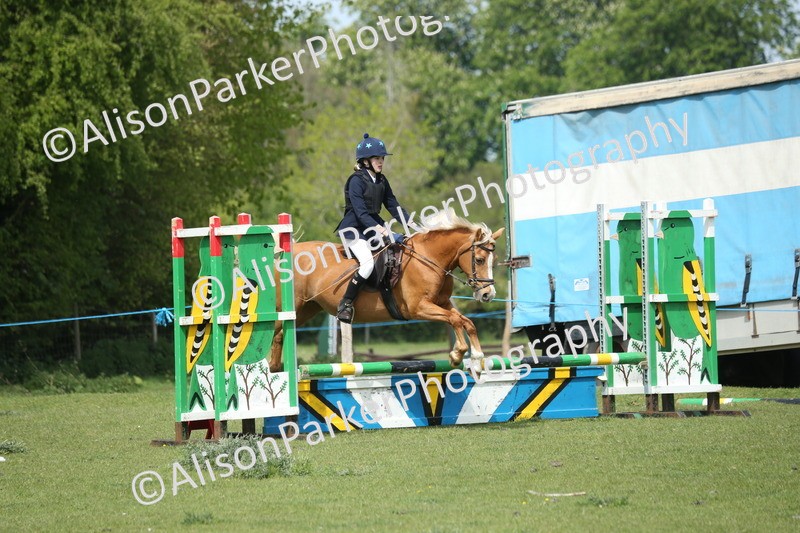 20260426-1744 - Class 14 - Novice 60cm