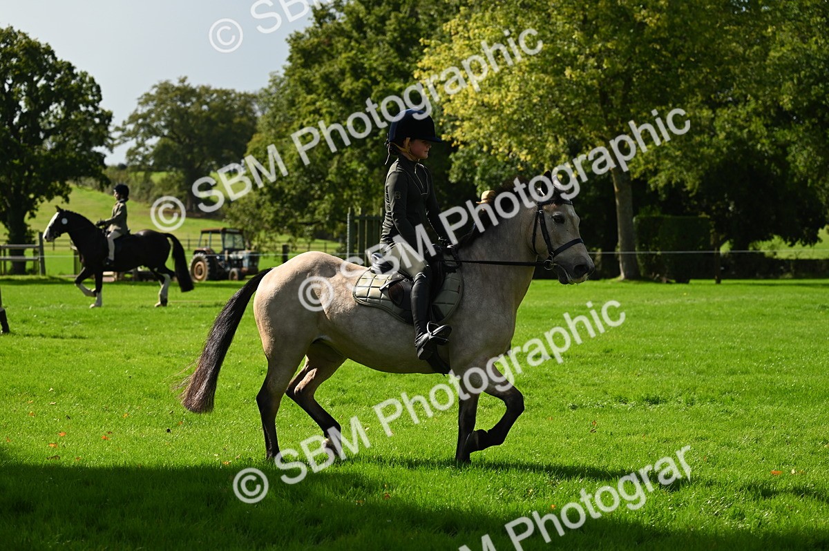 SBM_02761 - S3 - TSR Ridden Pony Showing