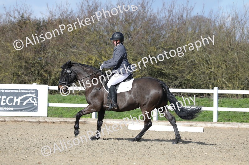 20260314-4871 - CT6 - Elementary 1