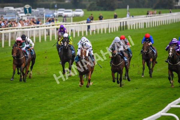 100923-Race 7-Looking For Lynda-1228 - Race 7 4.55pm Brian Taylor 50 Not Out Apprentice Handicap