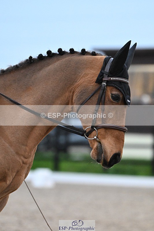 241103-161906-02969 - Prelim 2 - 15.59 to 17.10