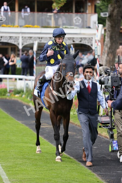 yr11062022r5-37 - Race 5 3.40pm The Pavers Foundation Catherine Memorial Sprint Stakes