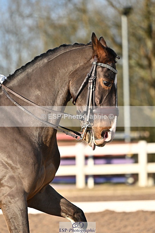 241214-141706-02776 - 153-Sally.Bell-Hilton.VI