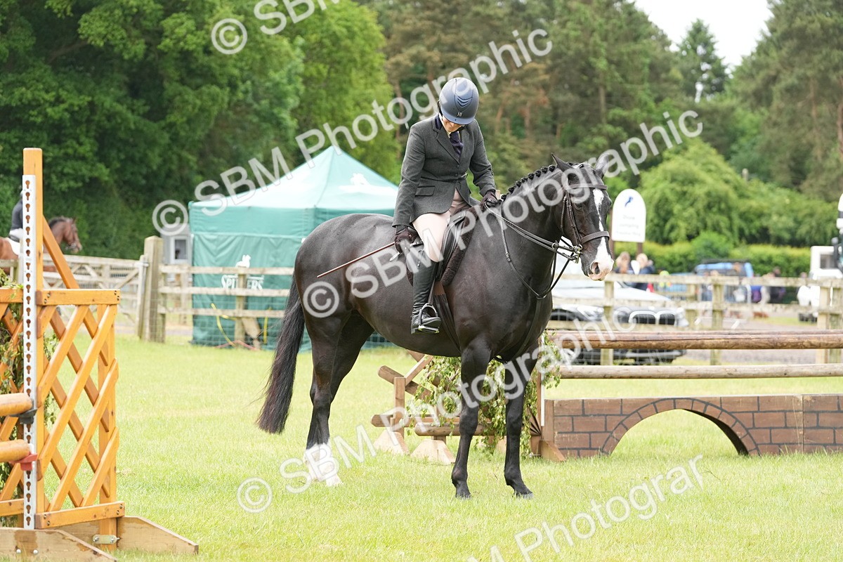 SBM_12718 - Class 97-98 - LIHS BSHA Rising Star Working Show Horse Hunter
