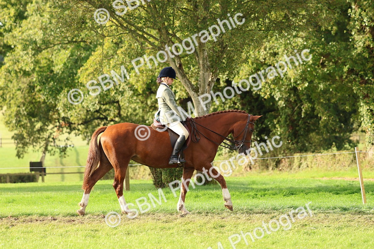 SBM_56525 - S40 - Starters Ridden Showing