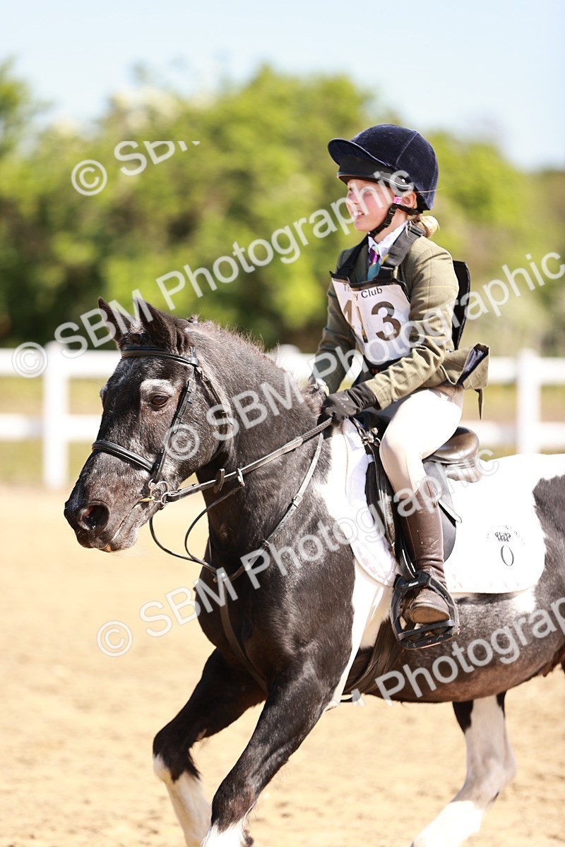 SBM_006914 - Class 2 - 50cm