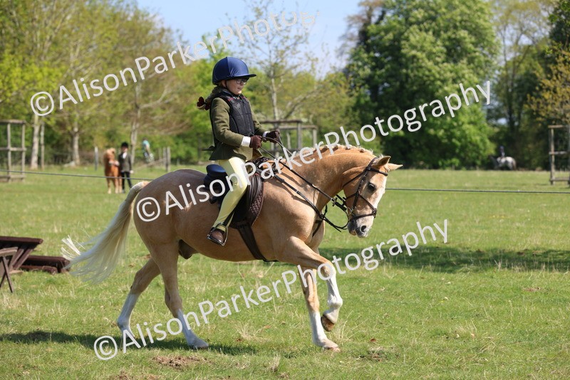 20250427-2410 - Class 19 - Mini Working Hunter