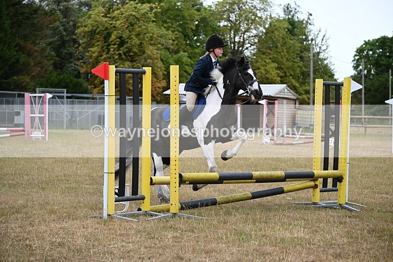WJ6_9952 - Class 13 Novice Jumping 60cm