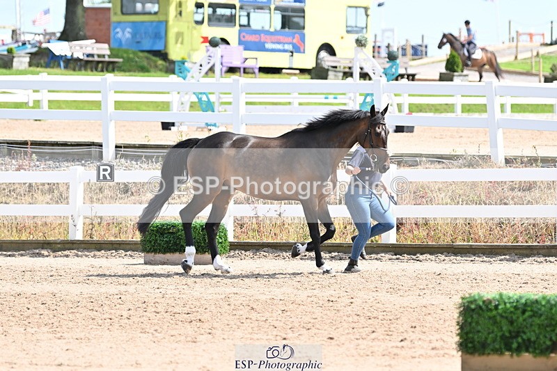 240717A-152154-02784 - Trot Up 3pm to 4pm