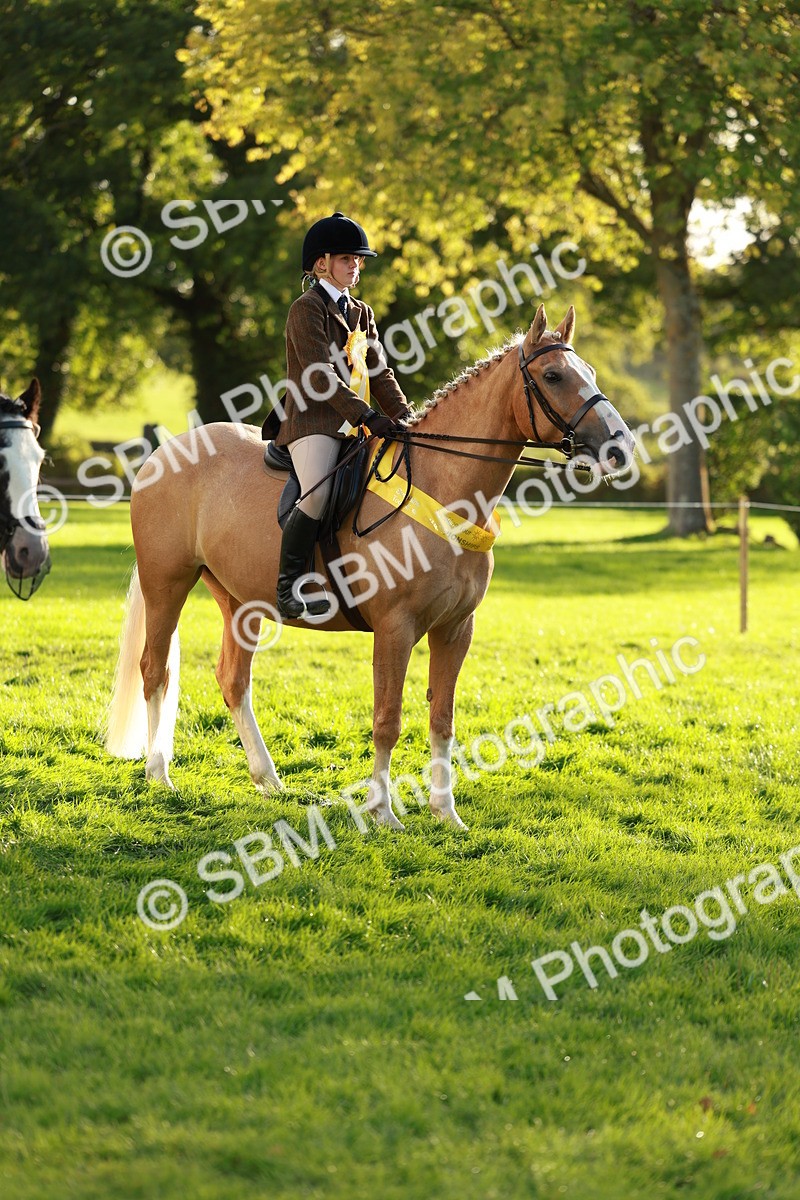 SBM_29313 - Novice & newcomer Supreme Championship