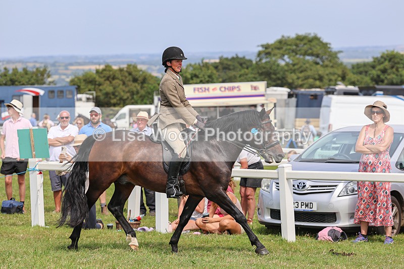 IMG_3731 - M & M Ridden Championship