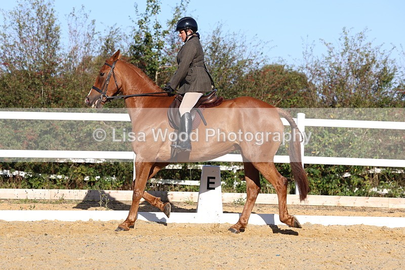 3E7A5191 - Class 7: Novice Ridden Hunter/Hack/RH/Cob