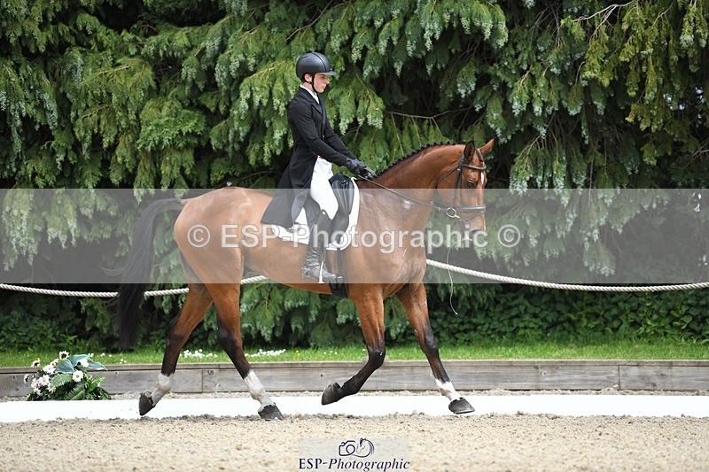 230525-140847-03099 - 318-JUST_HAVE_FAITH_TN-Alfie_Marshall-WEDTrotUp+DR