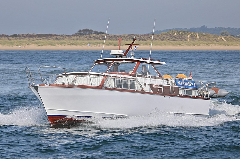 190824 SEA CHASER II - ROYAL CRUISER IV 1Y3A9278 - Motorboats - Hardtop