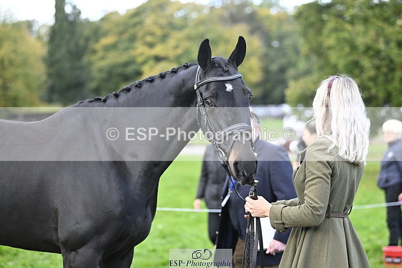 251025A-090319-17690 - A-002-Taggy.Forester-Bennett