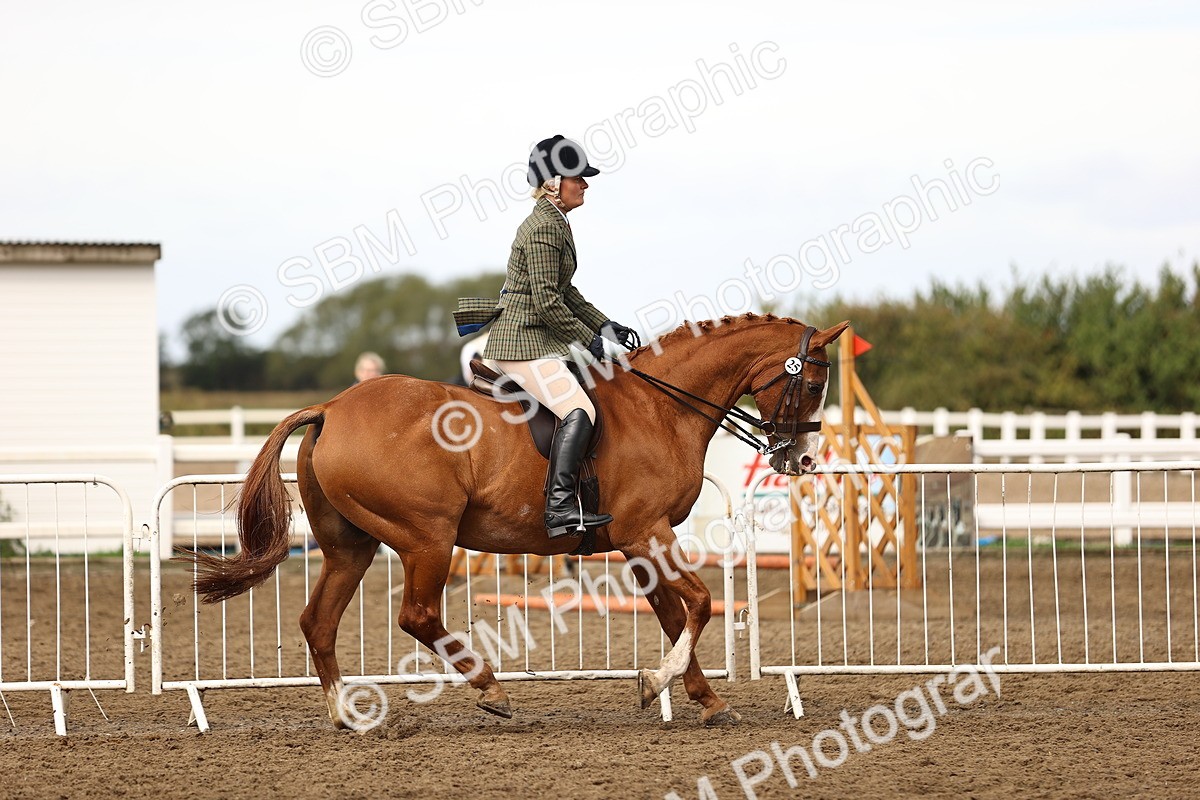 SBM_00669 - Class 53 - Ridden Competition Horse Pony