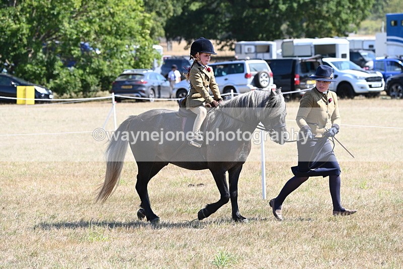WJ6_7783 - Class 36 Lead Rein