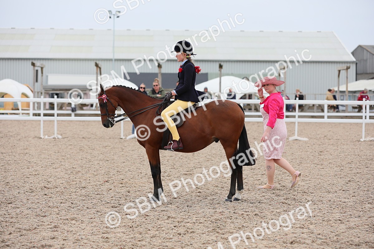 SBM_18090 - Class 316 Best Pony/Rider Combination